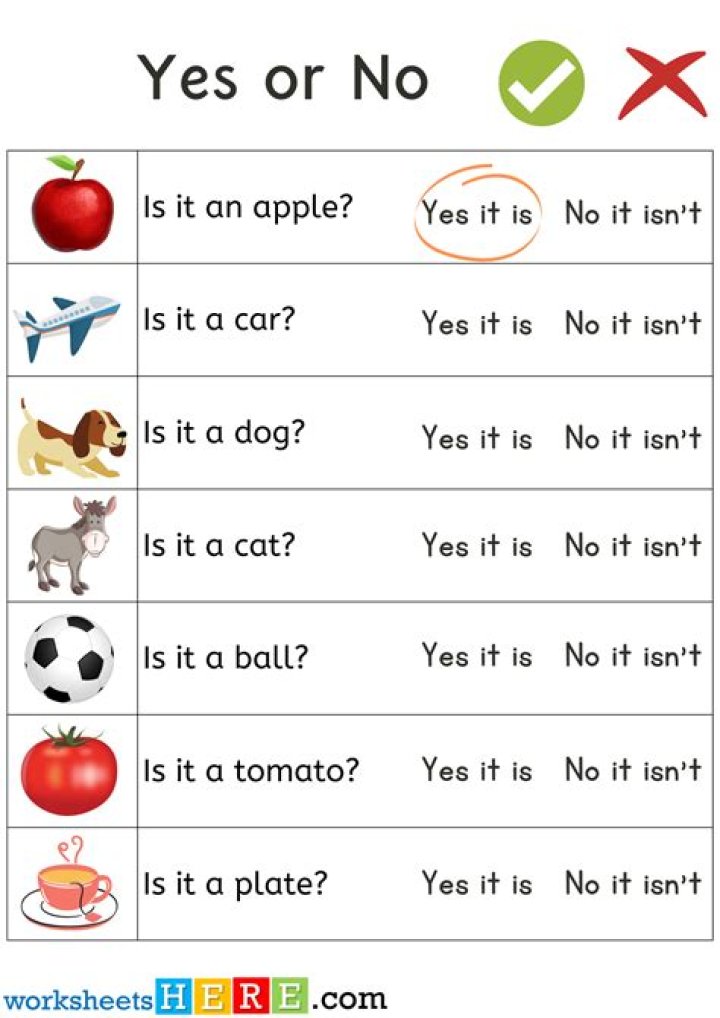 Yes or No Questions Examples with Answers – PDF Guide