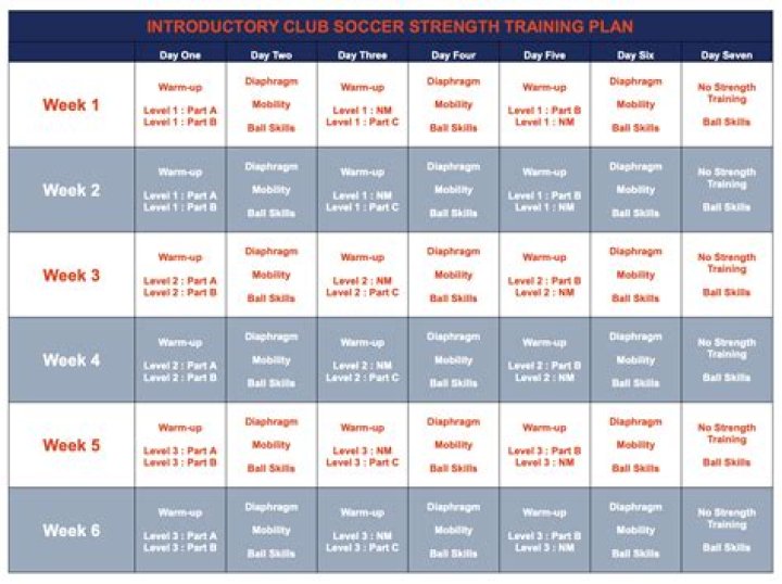 Youth Soccer Gym Workout Plan PDF – Fast & Effective Training for Young Athletes