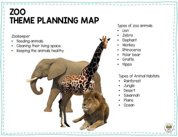 Zoo Animals Lesson Plan for Preschool PDF – Engaging Early Learning